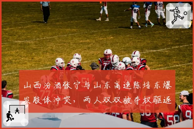 山西汾酒张宁与山东高速陈培东爆发肢体冲突，两人双双被夺权驱逐出场