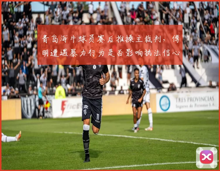 青岛海牛球员赛后推搡主裁判,傅明遭遇暴力行为是否影响执法信心?