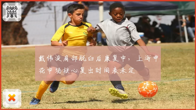 戴伟浚肩部脱臼后康复中,上海申花中场核心复出时间表未定