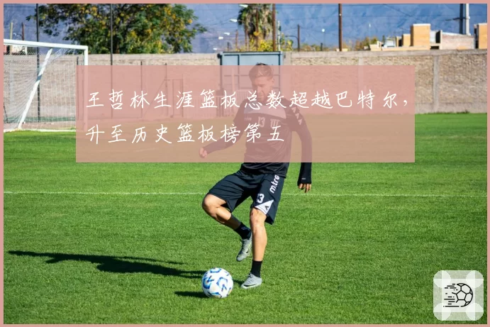 王哲林生涯篮板总数超越巴特尔,升至历史篮板榜第五