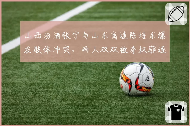 山西汾酒张宁与山东高速陈培东爆发肢体冲突，两人双双被夺权驱逐出场