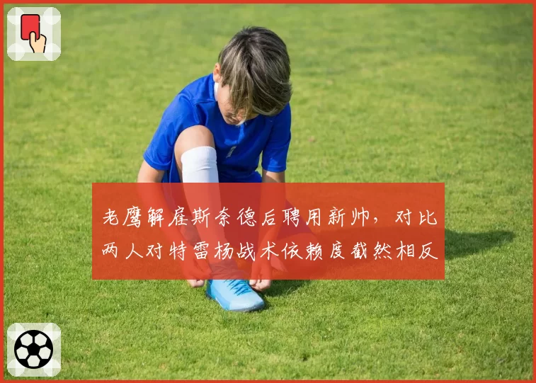 老鹰解雇斯奈德后聘用新帅,对比两人对特雷杨战术依赖度截然相反__br_